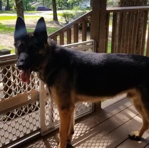 Meet your Posher, Nancy